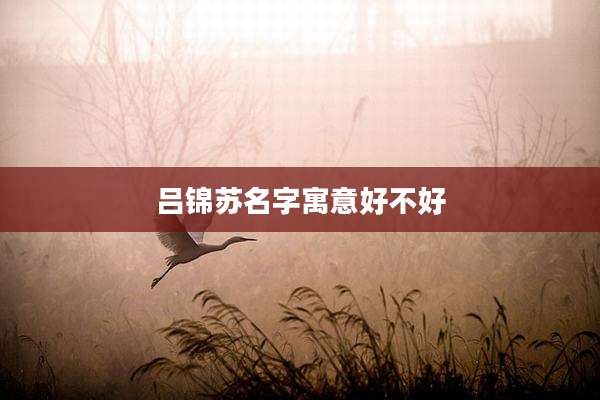 吕锦苏名字寓意好不好