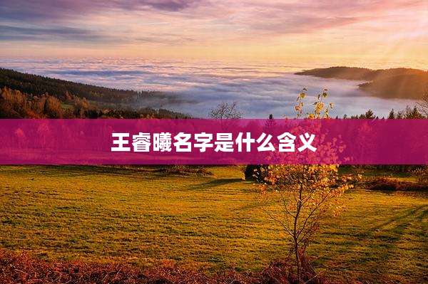 王睿曦名字是什么含义