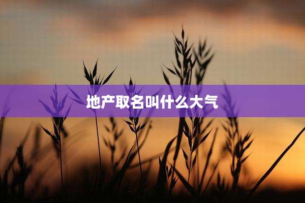 地产取名叫什么大气