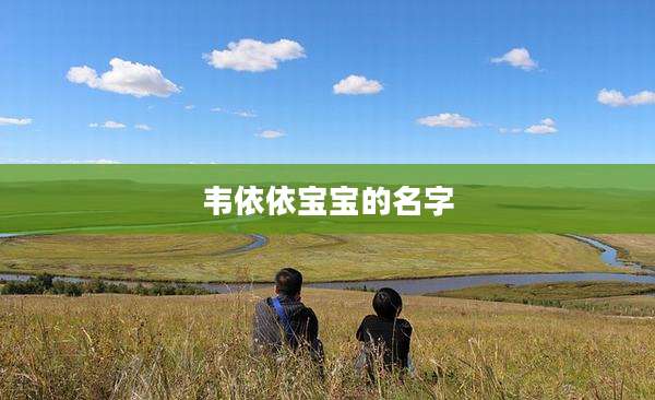 韦依依宝宝的名字