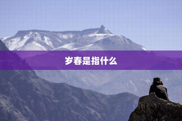 岁春是指什么