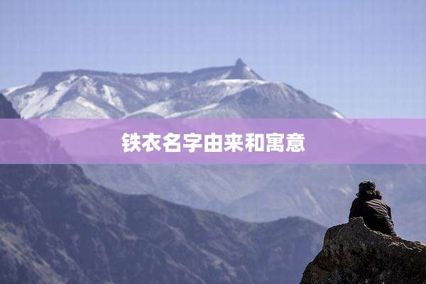 铁衣名字由来和寓意