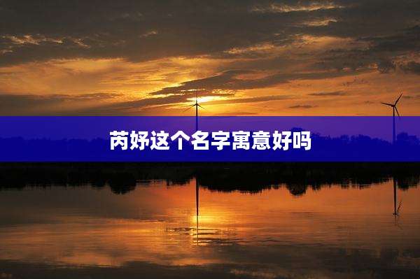 芮妤这个名字寓意好吗