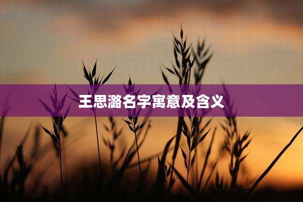 王思潞名字寓意及含义
