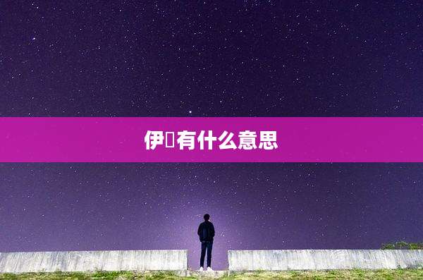 伊姌有什么意思