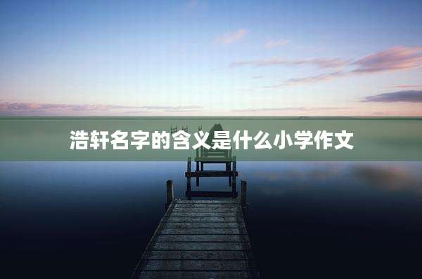 浩轩名字的含义是什么小学作文