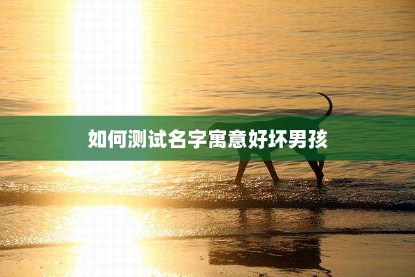 如何测试名字寓意好坏男孩