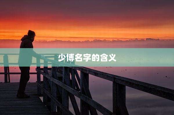 少博名字的含义