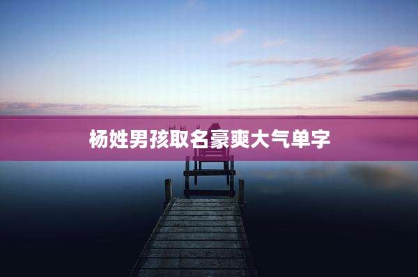 杨姓男孩取名豪爽大气单字