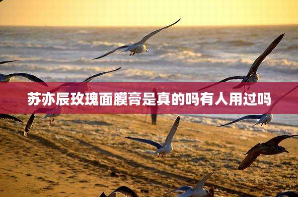 苏亦辰玫瑰面膜膏是真的吗有人用过吗