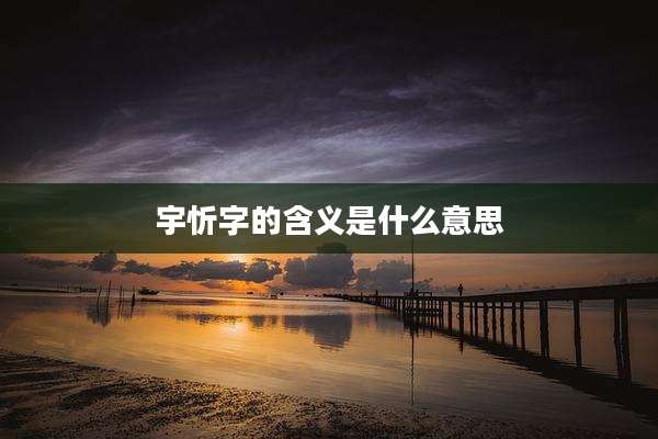 宇忻字的含义是什么意思
