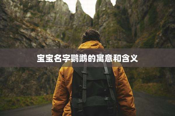 宝宝名字鹦鹉的寓意和含义