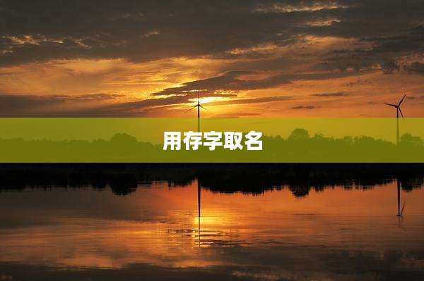 用存字取名