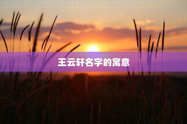 王云轩名字的寓意