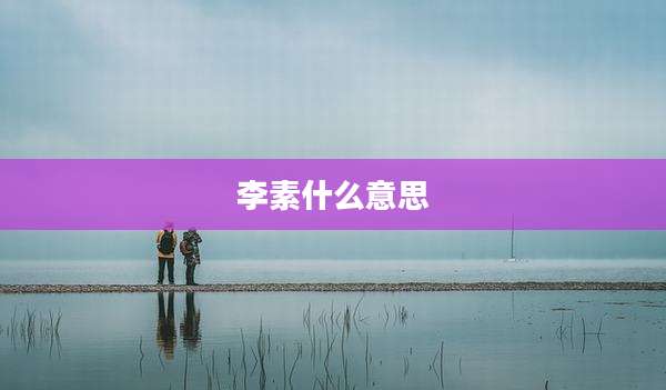 李素什么意思
