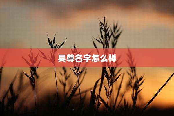 吴尊名字怎么样