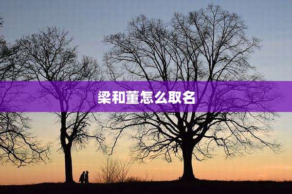 梁和董怎么取名