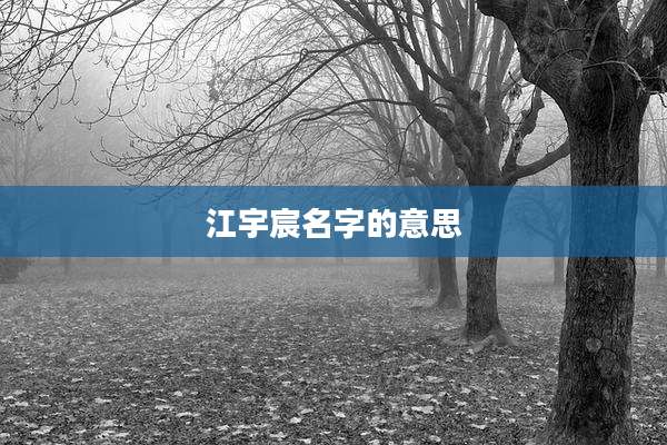 江宇宸名字的意思