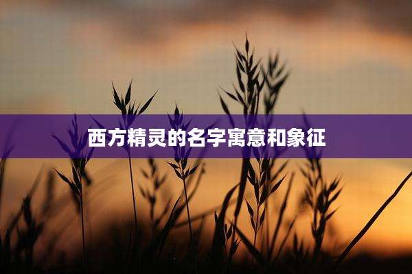 西方精灵的名字寓意和象征