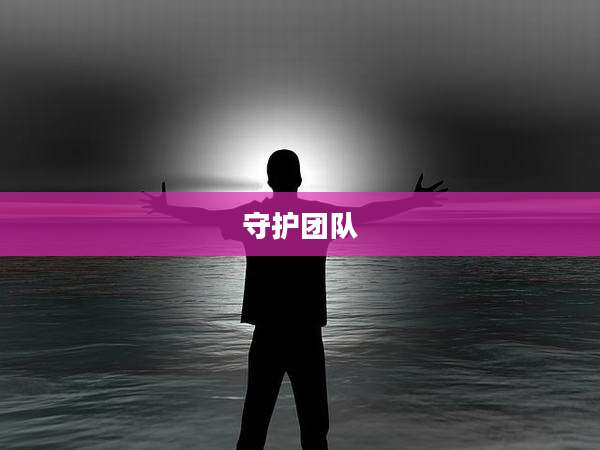 守护团队
