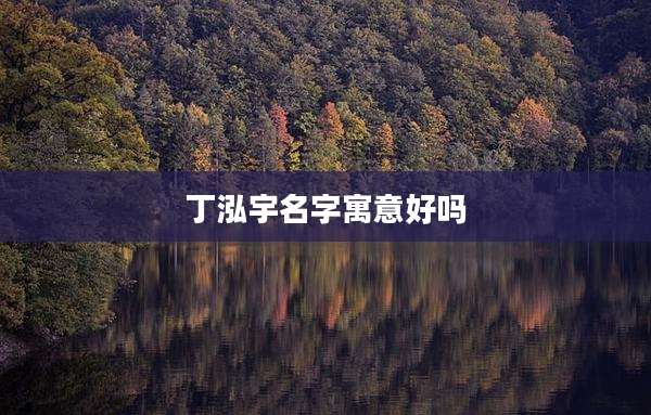 丁泓宇名字寓意好吗