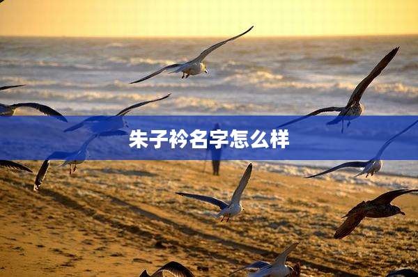朱子衿名字怎么样