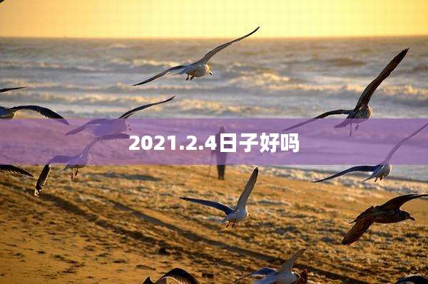 2021.2.4日子好吗
