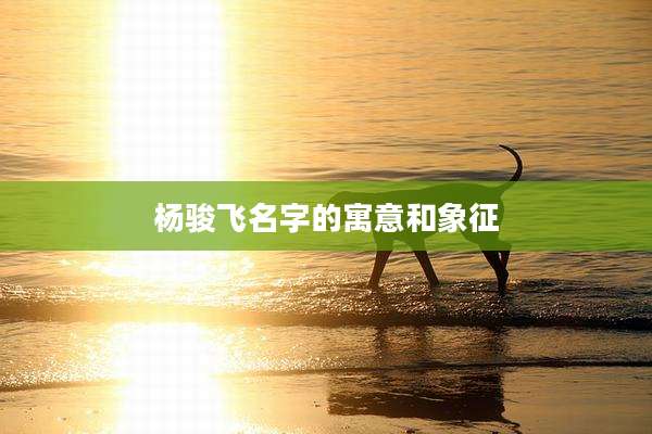 杨骏飞名字的寓意和象征