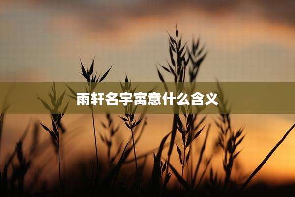 雨轩名字寓意什么含义