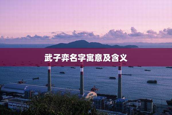 武子弈名字寓意及含义