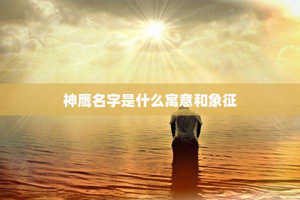 神鹰名字是什么寓意和象征