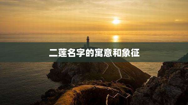 二莲名字的寓意和象征