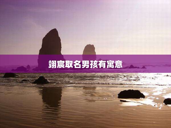 翊宸取名男孩有寓意