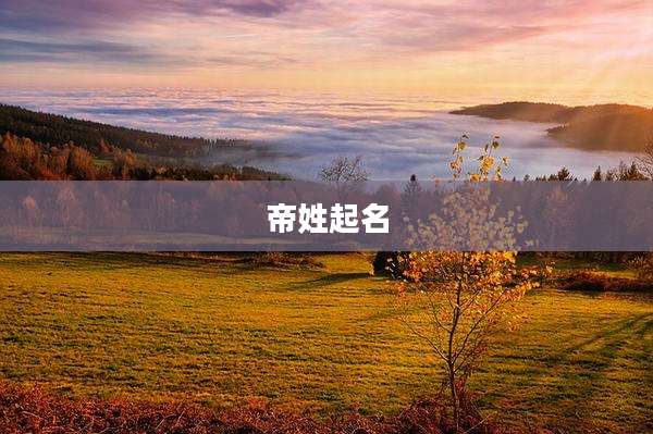 帝姓起名