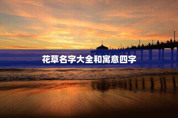 花草名字大全和寓意四字