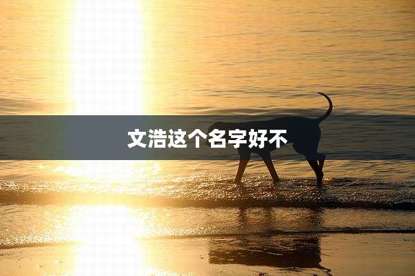 文浩这个名字好不