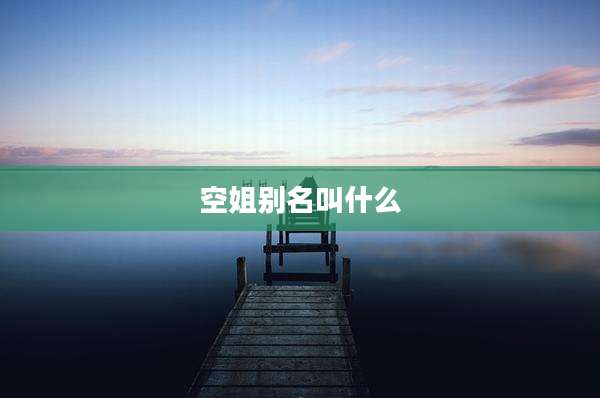 空姐别名叫什么