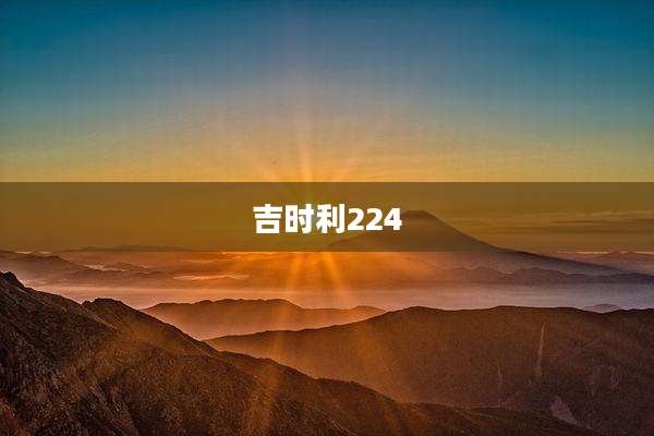 吉时利224