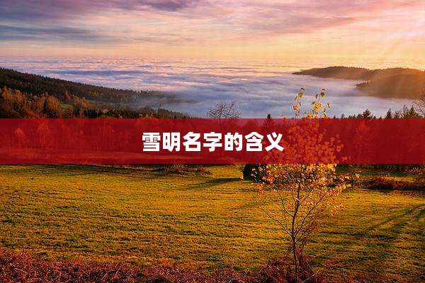 雪明名字的含义