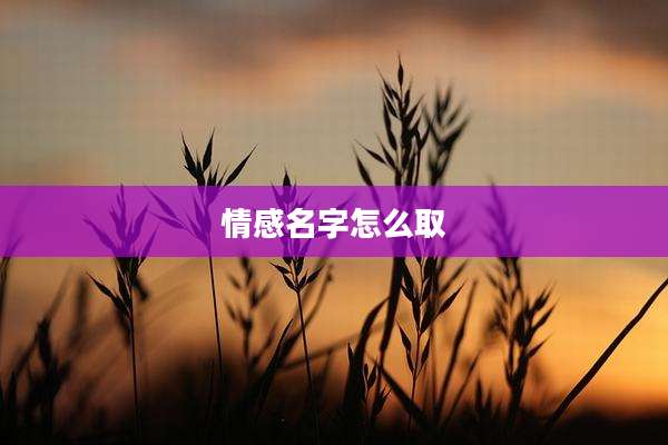 情感名字怎么取
