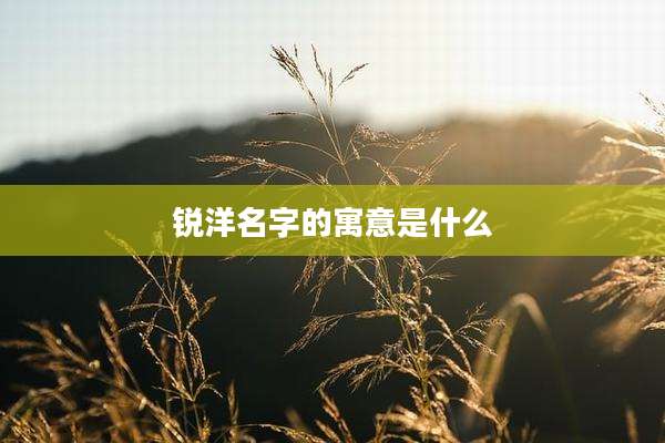锐洋名字的寓意是什么