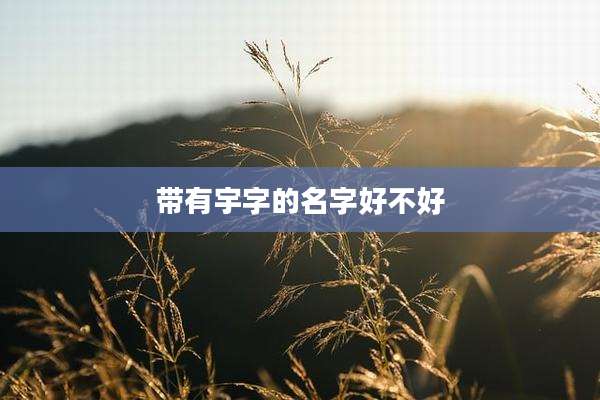 带有宇字的名字好不好
