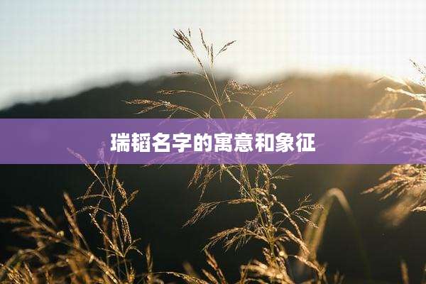 瑞韬名字的寓意和象征