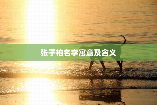 张子柏名字寓意及含义