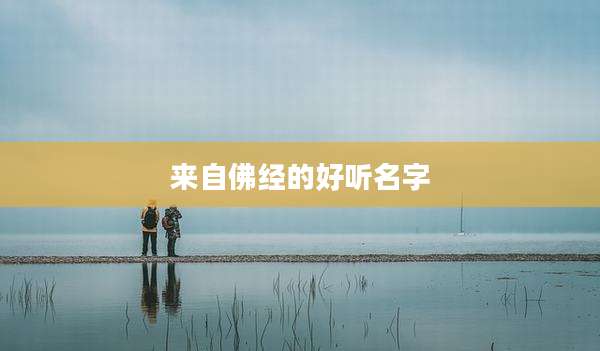 来自佛经的好听名字