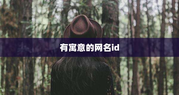 有寓意的网名id