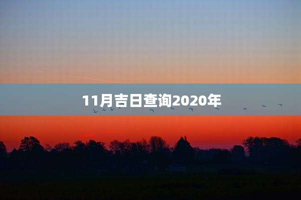 11月吉日查询2020年