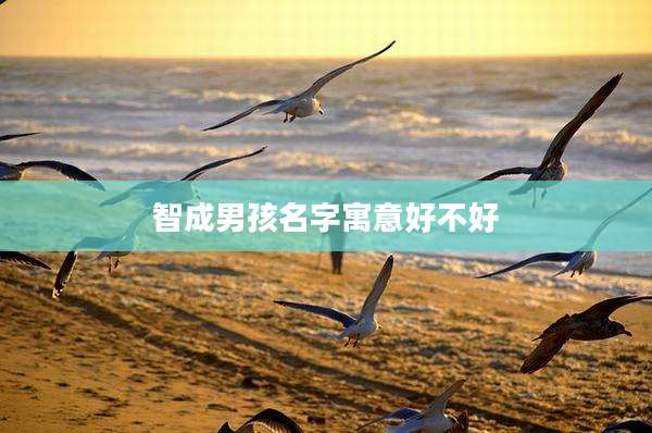 智成男孩名字寓意好不好