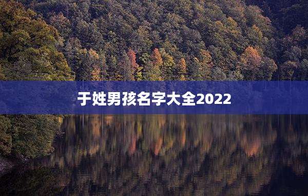于姓男孩名字大全2022