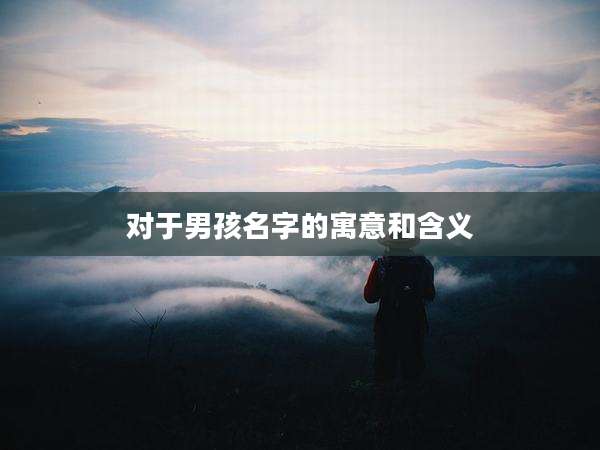 对于男孩名字的寓意和含义